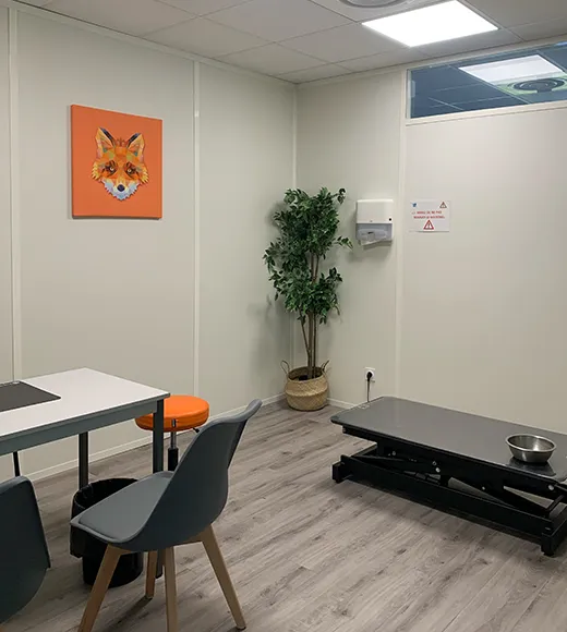 Image d'une salle de consultation de notre clinique pédagogique