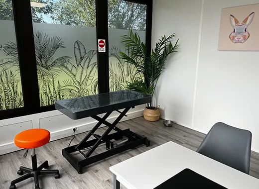 Image d'une salle de consultation de notre clinique pédagogique