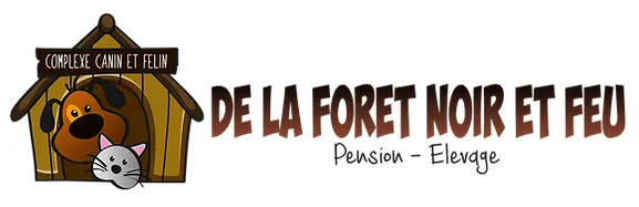 logo De la forêt noir et feu