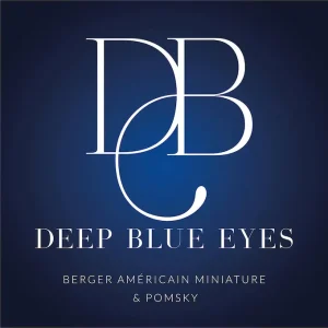 logo Elevage Deep Blue Eyes