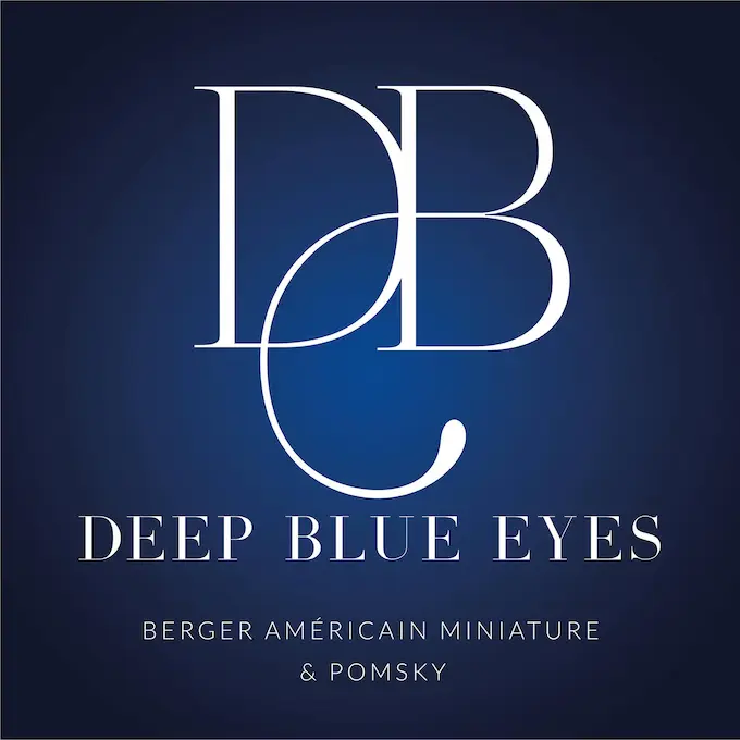 logo Elevage Deep Blue Eyes